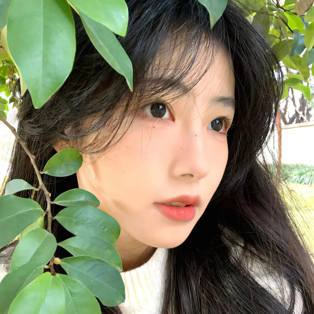 诡秘之主