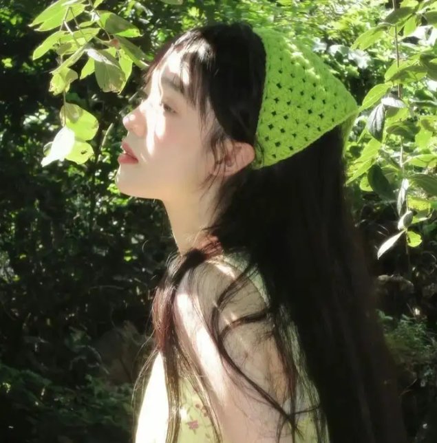 纪录综艺